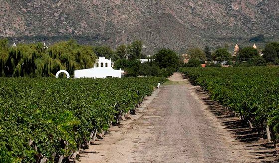 Tour a Cafayate - Foto 1